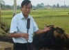GS Nguyễn Lân Hùng tiếp xúc với nông dân Yên Thành