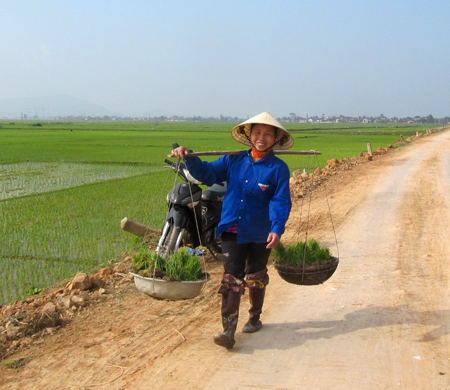 Nụ cười của nữ nông dân xứ Nghệ xuống đồng trong ngày nắng đầu tiên
