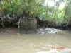 Yên Thành – một người chết do đánh cá trên sông bị lũ cuốn trôi