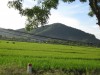 Thời sự làng tôi