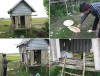 Chuyện ở 'thôn trời đánh'