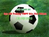 Thông báo khai mạc giải bóng đá cựu HS trường THPT Bắc Yên Thành tại Hà Nội 2012